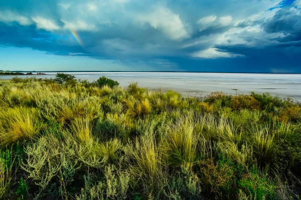Broken Dry Soil Pampas Lagoon Pampa Province Patagonia Argentina — Stock Photo, Image