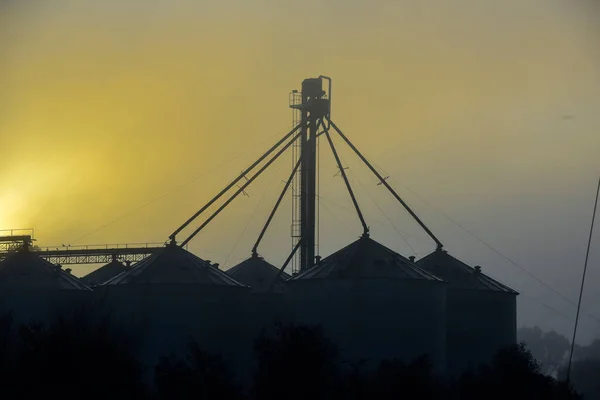 Grain Storage Steel Silos Buenos Aires Province Patagonia Argentina — Fotografia de Stock