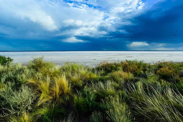 阿根廷巴塔哥尼亚拉潘帕省潘帕斯泻湖海滩的草原景观 — 图库照片
