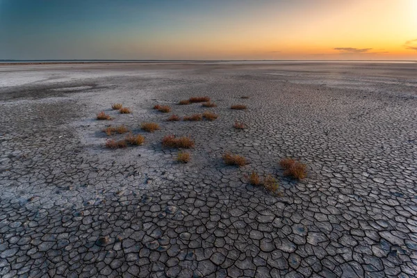 Засохшая Почва Лагуне Пампас Провинция Пампа Патагония Аргентина — стоковое фото