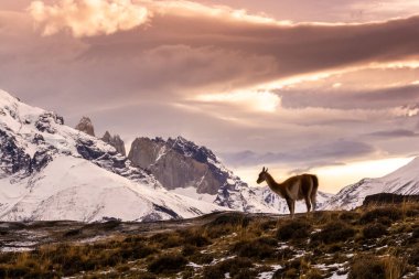 Dağ manzarası, Torres del Paine Ulusal Parkı, Patagonya, Şili.