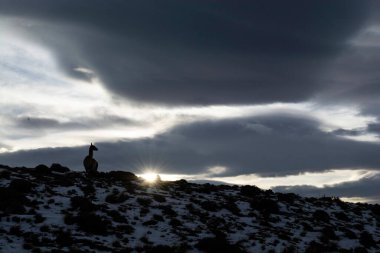 Dağ manzarası, Torres del Paine Ulusal Parkı, Patagonya, Şili.