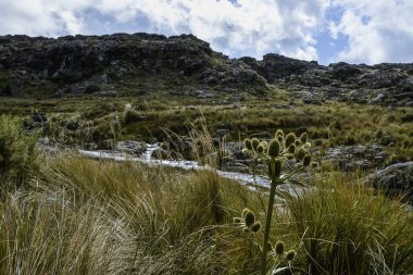 Quebrada del Condorito  National Park,Cordoba province, Argentina