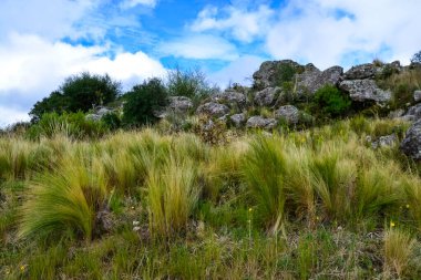 Quebrada del Condorito  National Park,Cordoba province, Argentina
