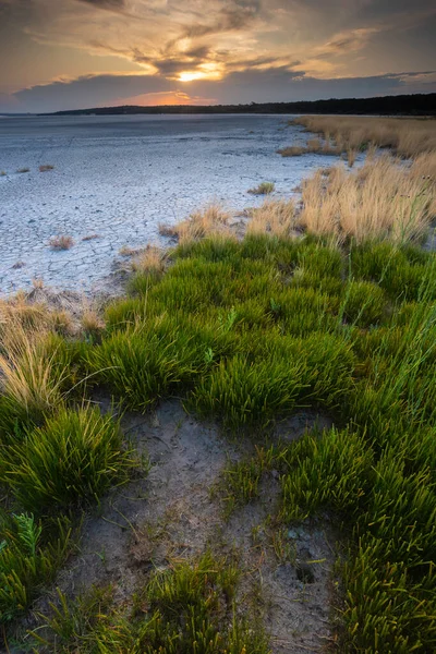 Broken Dry Soil Pampas Lagoon Pampa Province Patagonia Argentina — Stock Photo, Image