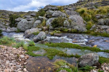 Quebrada del Condorito  National Park,Cordoba province, Argentina