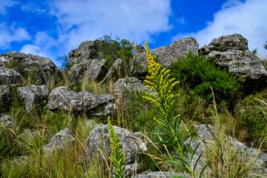 Quebrada del Condorito  National Park,Cordoba province, Argentina