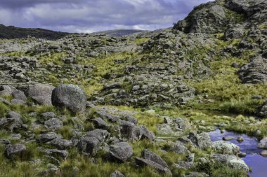 Quebrada del Condorito  National Park,Cordoba province, Argentina