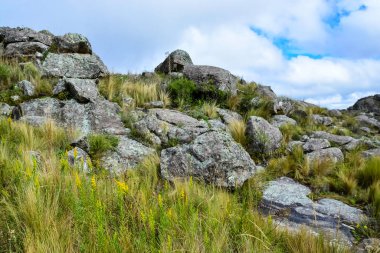Quebrada del Condorito  National Park,Cordoba province, Argentina