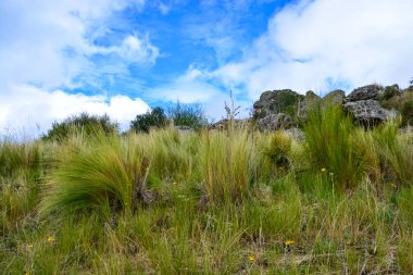 Quebrada del Condorito  National Park,Cordoba province, Argentina