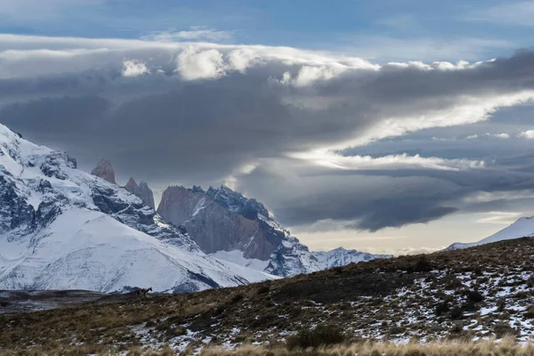 Mountain Landscape Environment Torres Del Paine National Park Patagonia Chile — Stock Photo, Image