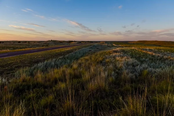 Graslandschaft Der Pampa Provinz Pampa Patagonien Argentinien — Stockfoto