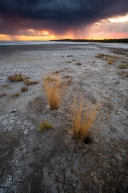 La Pampa, Patagonya, Arjantin 'deki bir Pampas gölünde parçalanmış kuru toprak..
