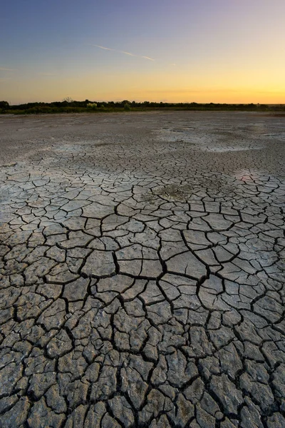 Zlomená Suchá Půda Laguně Pampas Provincie Pampa Patagonie Argentina — Stock fotografie