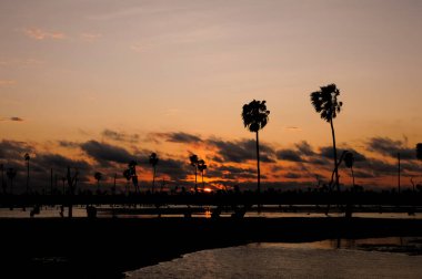 La Estrella Marsh 'taki Sunst Palms manzarası, Formosa, Arjantin.