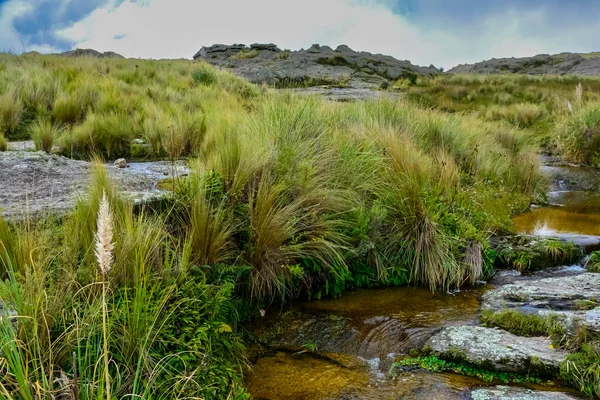 Quebrada Del Condorito National Park Cordoba Province Argentina — Foto Stock