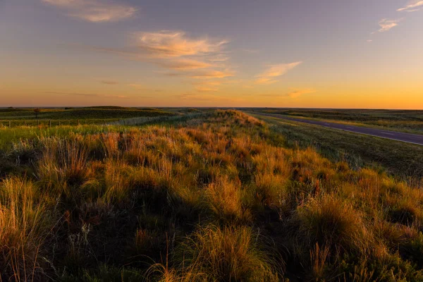 Травяной Ландшафт Пампас Провинция Пампа Патагония Аргентина — стоковое фото