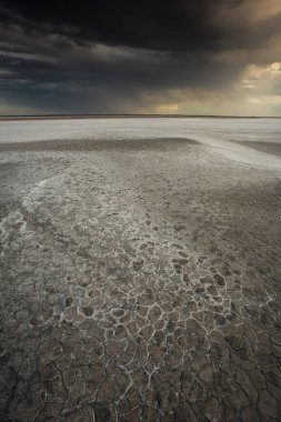 La Pampa, Patagonya, Arjantin 'deki bir Pampas gölünde parçalanmış kuru toprak..
