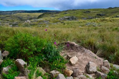 Quebrada del Condorito  National Park,Cordoba province, Argentina