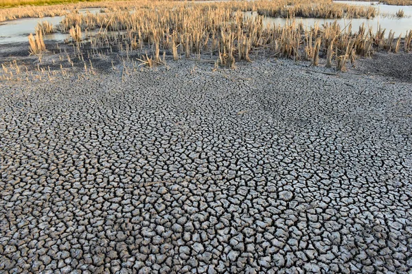 Solo Seco Quebrado Uma Lagoa Pampas Província Pampa Patagônia Argentina — Fotografia de Stock
