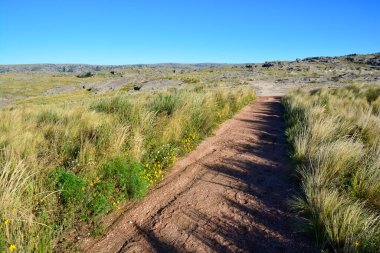 Quebrada del Condorito  National Park,Cordoba province, Argentina