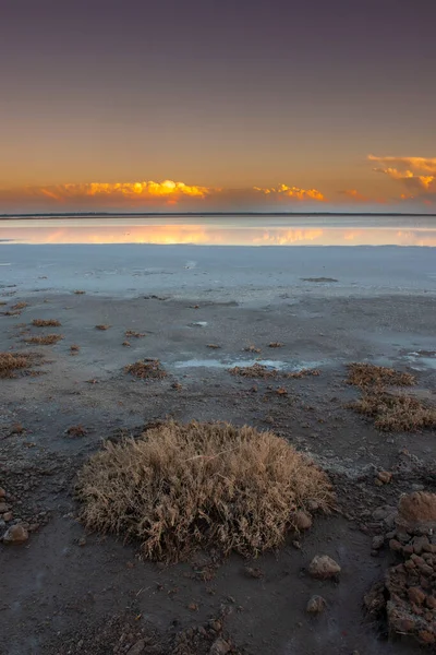 Desert Landscape Broken Dry Soil Pampas Lagoon Pampa Province Patagonia — Stock Photo, Image