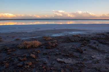 Çöl manzarası, Arjantin 'in La Pampa bölgesindeki bir Pampas gölünde kurumuş toprak..