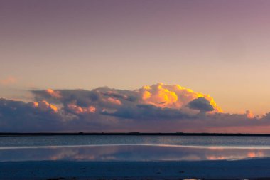 Çöl manzarası, Arjantin 'in La Pampa bölgesindeki bir Pampas gölünde kurumuş toprak..