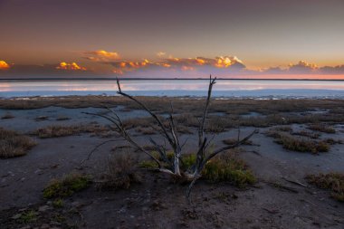 Çöl manzarası, Arjantin 'in La Pampa bölgesindeki bir Pampas gölünde kurumuş toprak..