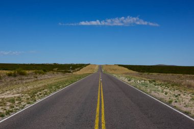 Pampas ovasında yol, La Pampa Eyaleti, Patagonya, Argenti