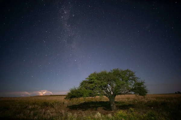 Pampas Landschap Nachts Gefotografeerd Met Een Sterrenhemel Provincie Pampa Patagonië — Stockfoto