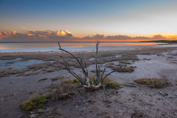 Paisagem Deserto Solo Seco Quebrado Uma Lagoa Pampas Província Pampa — Fotografia de Stock