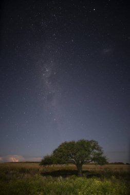 Pampas manzarası gece yıldızlı bir gökyüzü ile çekildi, La Pampa vilayeti, Patagonya, Arjantin.