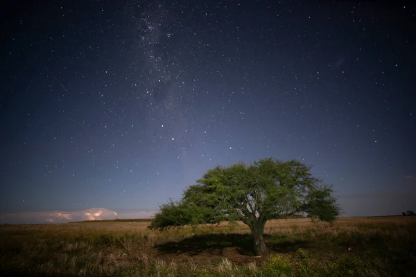 Krajobraz Pampas Fotografowany Nocą Gwiaździstym Niebem Prowincja Pampa Patagonia Argentyna — Zdjęcie stockowe