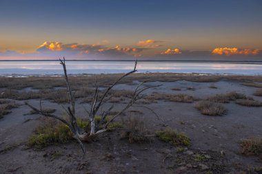 Çöl manzarası, Arjantin 'in La Pampa bölgesindeki bir Pampas gölünde kurumuş toprak..