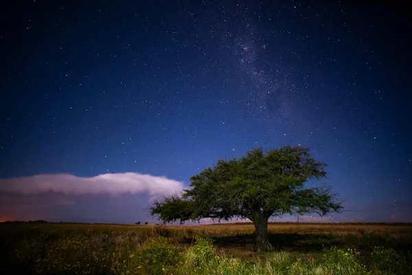 Pampaslandschaft Bei Nacht Mit Sternenhimmel Provinz Pampa Patagonien Argentinien — Stockfoto