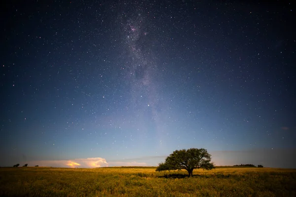 星空と夜に撮影されたパンパの風景 ラパンパ州 パタゴニア アルゼンチン — ストック写真