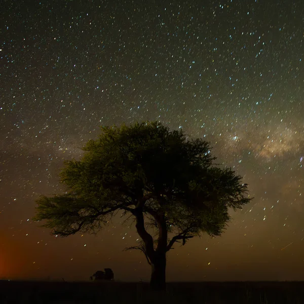 パンパ夜の風景 パンパ州 パタゴニア アルゼンチン — ストック写真