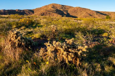 Lihue Calel Ulusal Parkı Sierra Peyzajı, La Pampa, Arjantin