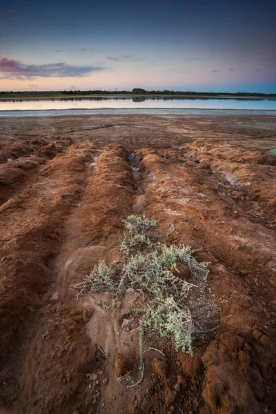 Semi Desert Environment Landcape Pampa Province Patagonia Argentina — Foto de Stock
