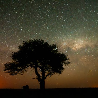 Pampas gece manzarası, La Pampa ili, Patagonya, Arjantin.