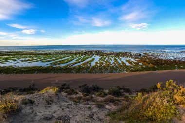 Peninsula Valdes, Dünya Mirası, Patagonya, Arjantin 'deki Low Tide kıyı manzarası