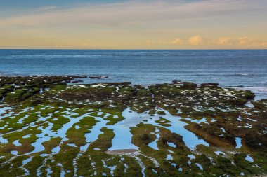 Peninsula Valdes, Dünya Mirası, Patagonya, Arjantin 'deki Low Tide kıyı manzarası