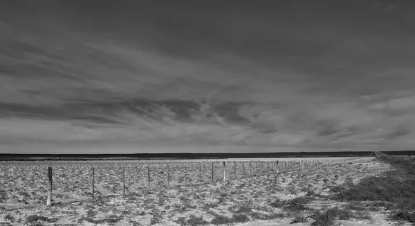 Соленая Почва Полупустынной Среде Провинция Пампа Патагония Аргентина — стоковое фото