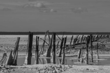 Tuzlu lagün, La Pampa, Argentina