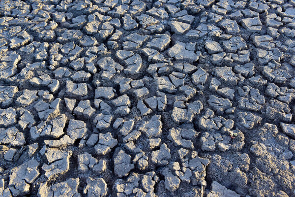 Cracked ground pattern in the desert, La Pampa, Argentina