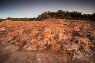 Semi desert environment landcape, La Pampa province, Patagonia, Argentina.