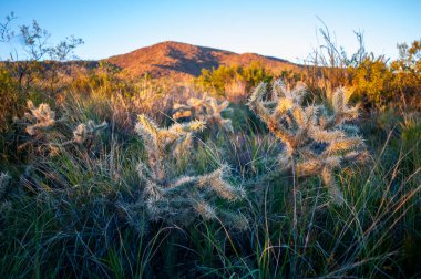 Lihue Calel Ulusal Parkı Sierra Peyzajı, La Pampa, Arjantin