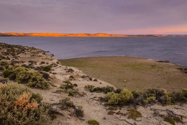 Прибрежный Пейзаж Полуострове Вальдес Сумерках Объект Всемирного Наследия Патагония Аргентина — стоковое фото