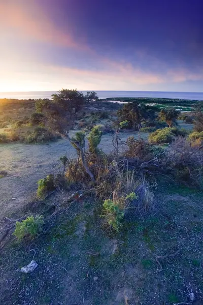 Coastal Landscape Peninsula Valdes Dusk World Heritage Site Patagonia Argentina — Stock Photo, Image